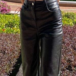Aritzia Leather Pants